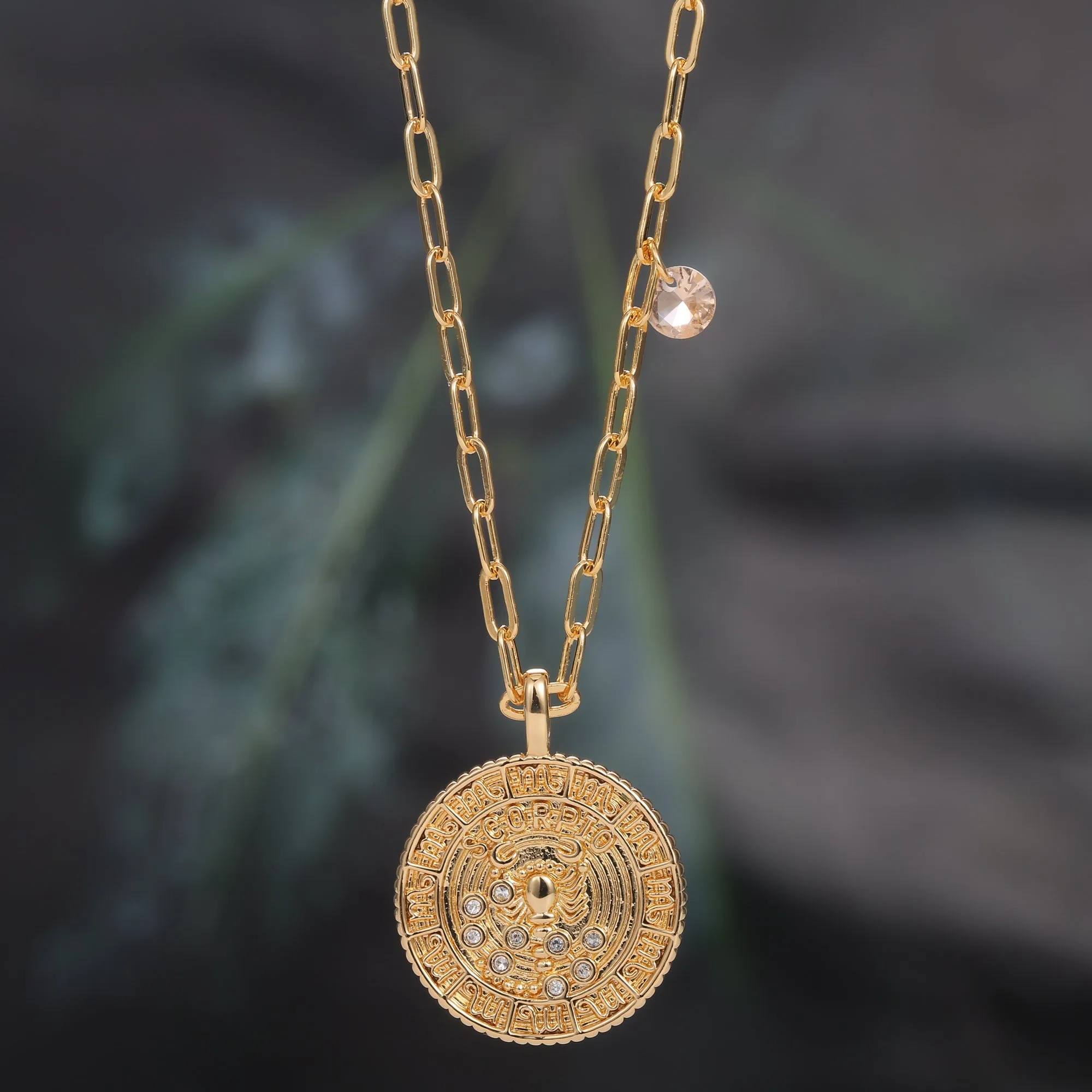 18K Gold Plated Zodiac Birth Coin