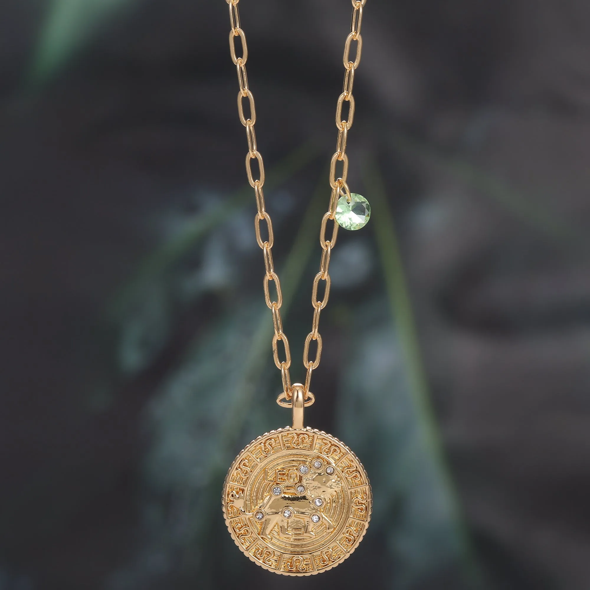 18K Gold Plated Zodiac Birth Coin