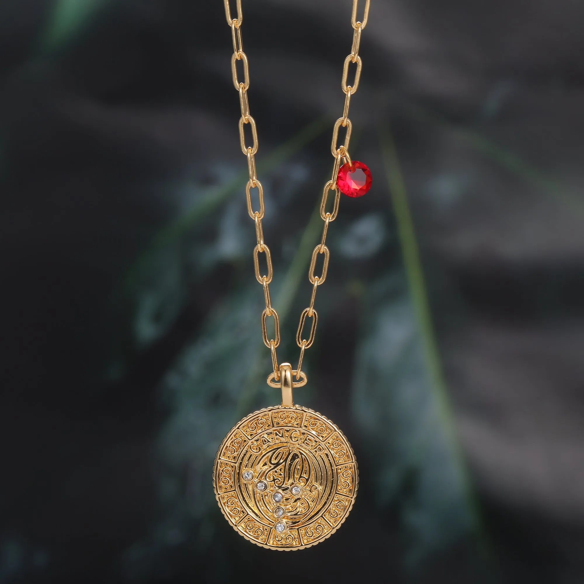 18K Gold Plated Zodiac Birth Coin