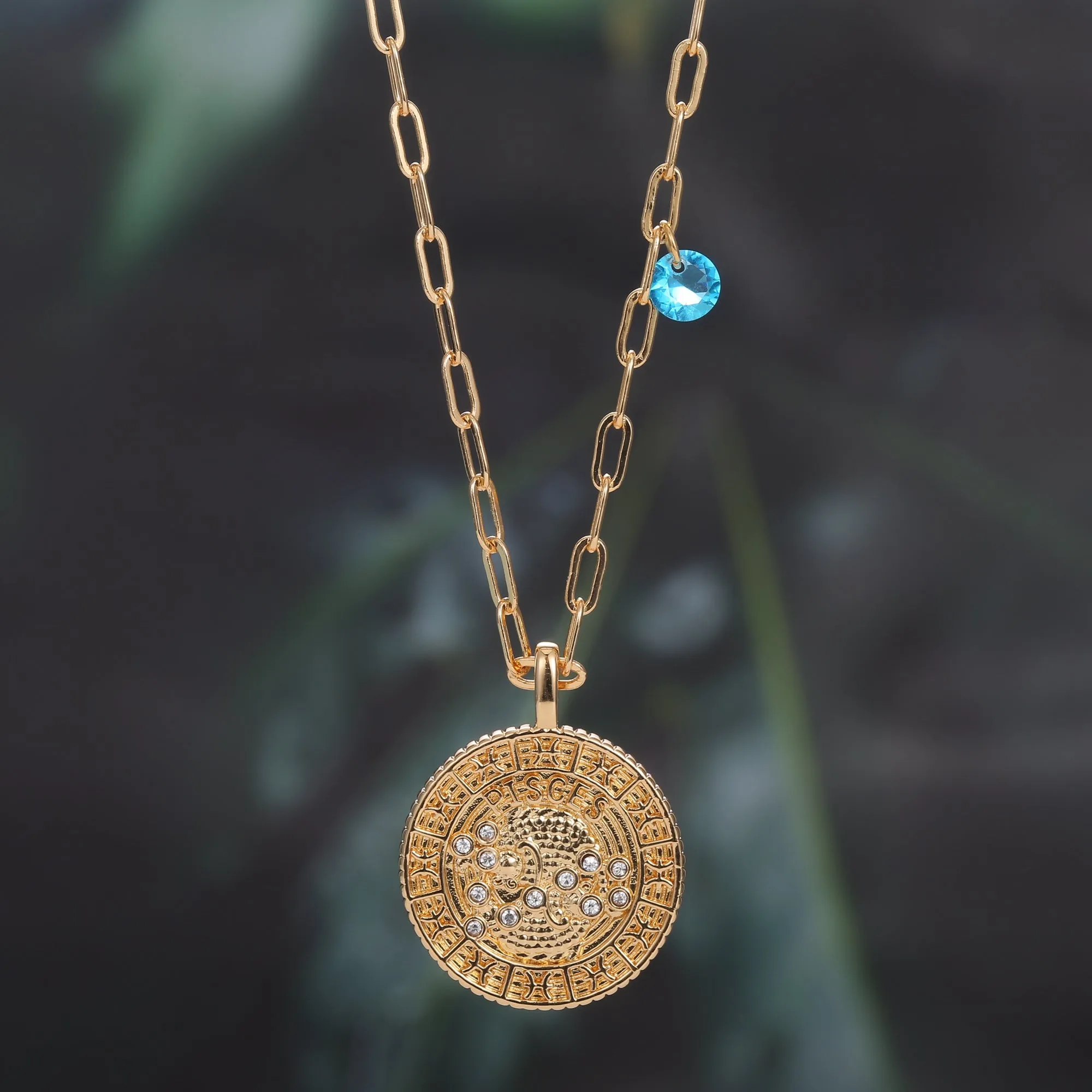 18K Gold Plated Zodiac Birth Coin