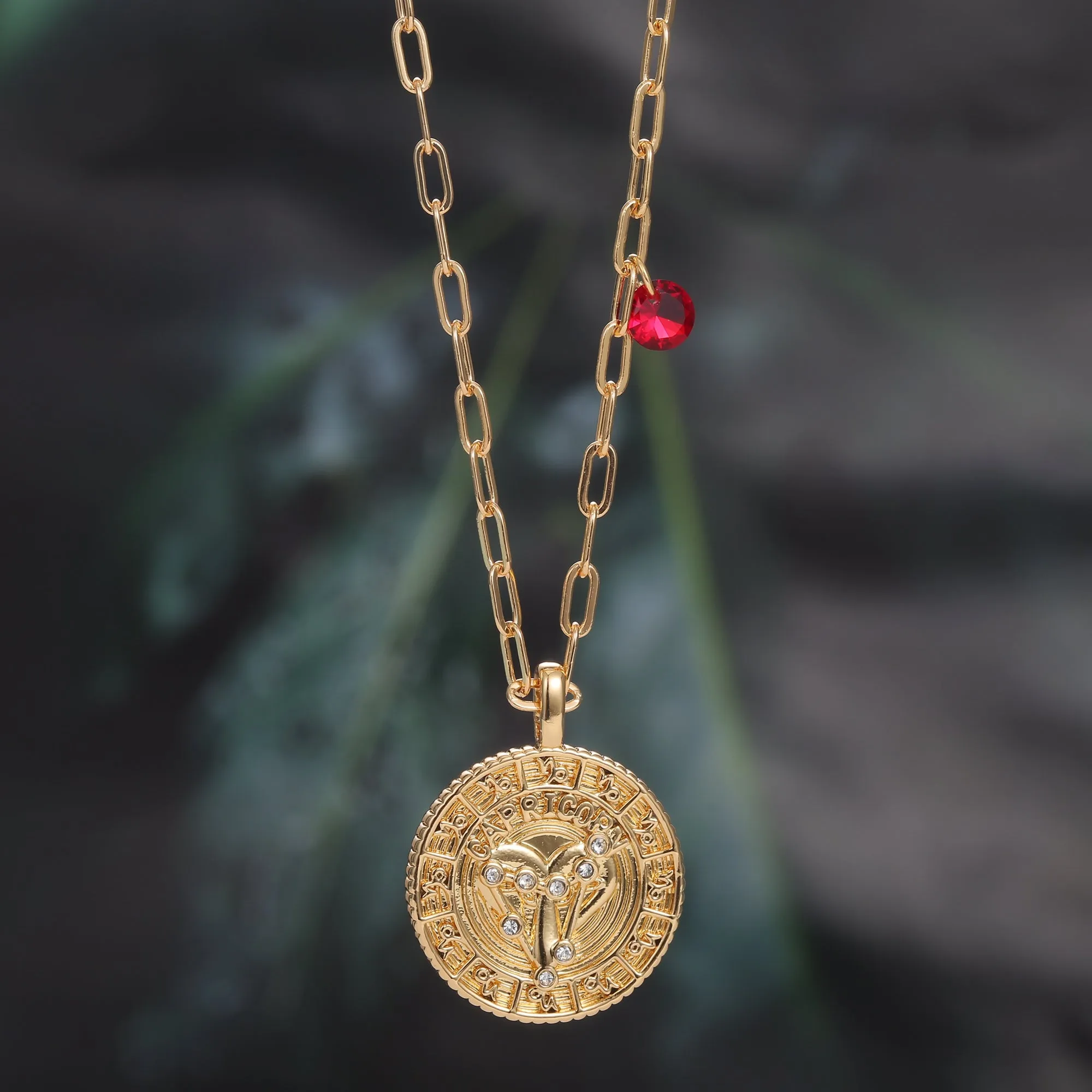 18K Gold Plated Zodiac Birth Coin