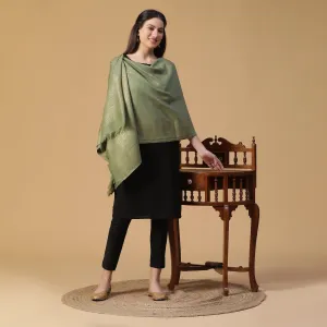 Abiya Splendid Woolen Sheen Woven Design Shawl