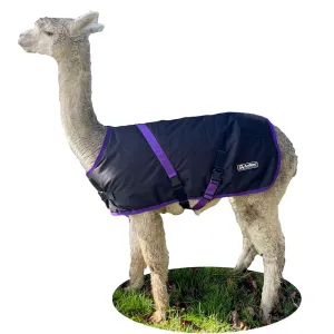 Windproof Hiking Jacket