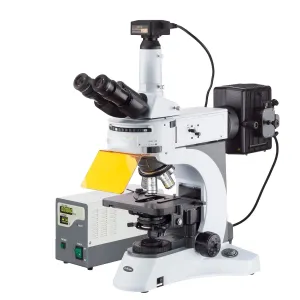 AmScope FM820 Series Upright Fluorescence Trinocular Compound Microscope 40X-1000X Magnification with Rotating Multi-filter Turret and 12MP Color CCD Camera