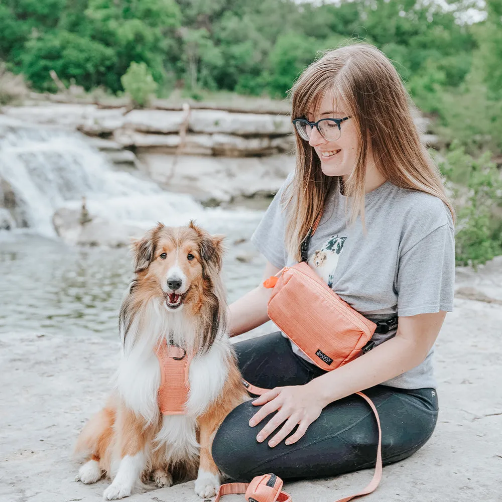 Apple Cider Woof Pack Bag