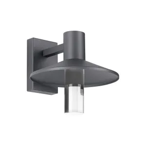 Ash 12 In. LED Lo-Output Outdoor Wall Sconce 619 Lumens 3000K Button Photocontrol Gray Finish Clear Cylinder