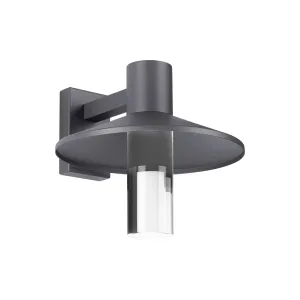 Ash 16 In. LED Hi-Output Outdoor Wall Sconce 1255 Lumens 2700K Button Photocontrol Surge Protection Gray Finish Clear Cylinder