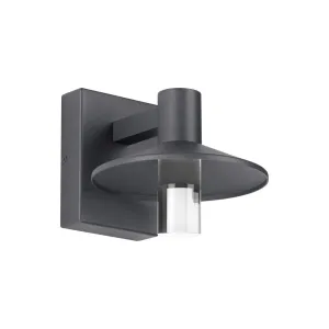 Ash 8 In. LED Lo-Output Outdoor Wall Sconce 515 Lumens 2700K Button Photocontrol Gray Finish Clear Cylinder