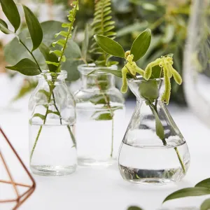 Assorted Glass Mini Vase Set