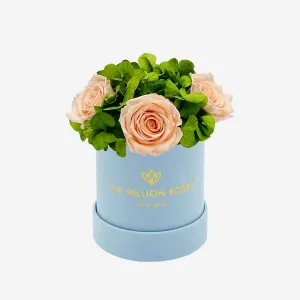 Basic Light Blue Suede Garden Box | Peach Roses