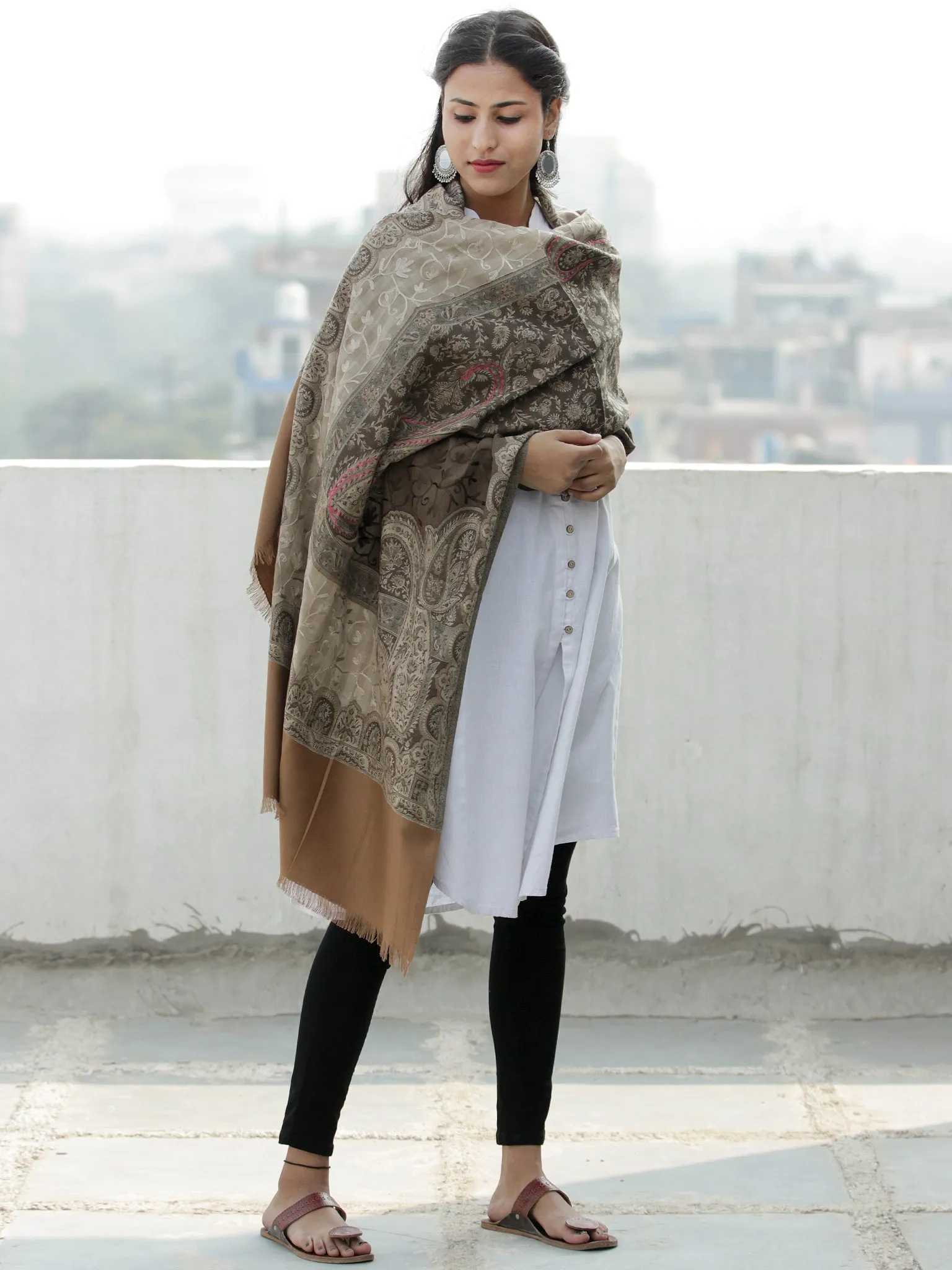 Beige Brown Jamawar Aari Embroidered Woollen Kashmiri Stole - S200586