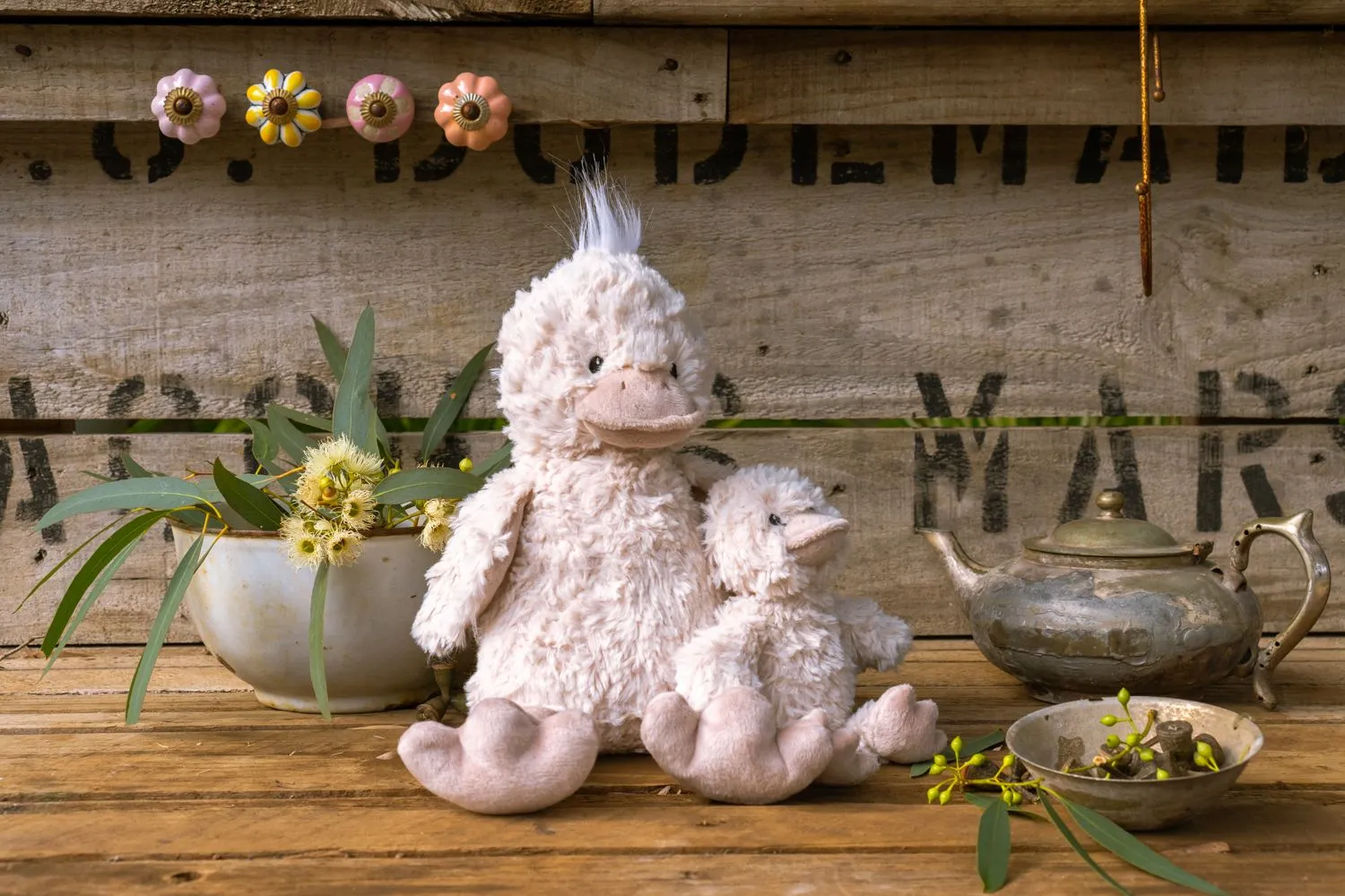 Bill the Duck Gift Pack