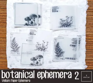 Botanical Ephemera (2) | Vellum Note Paper