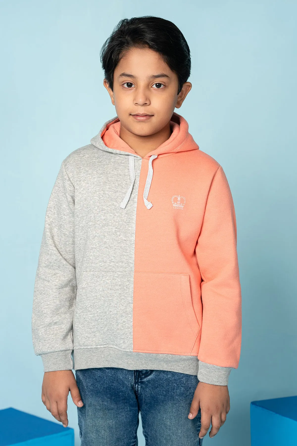 Boys ASLAN Fleece Hoodie