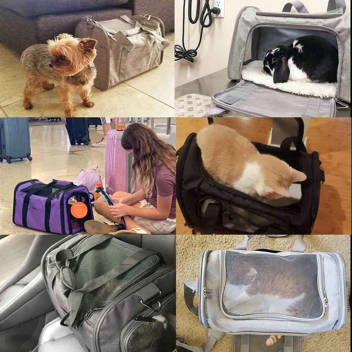 Breathable Travel Carrier