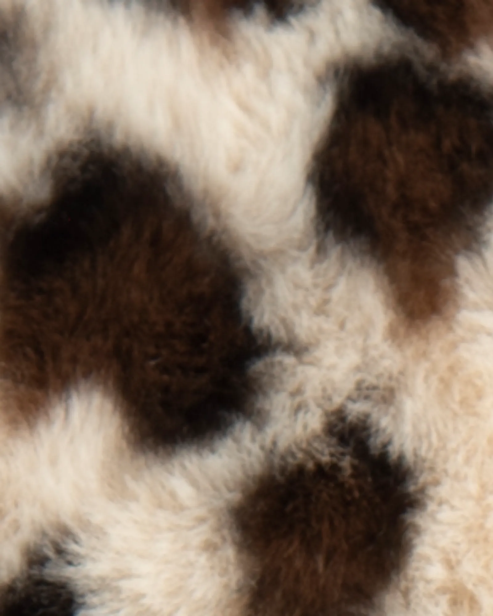 Brenda Animal Print Slippers, S/M | Black / Tan
