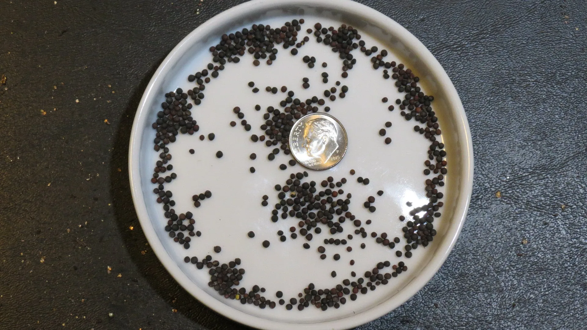 Collard Seeds Georgia Southern (Heirloom)
