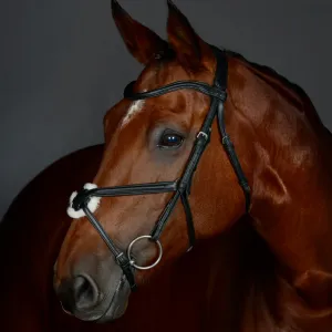 Collegiate Comfitec Opulux Plain Padded Grackle Bridle