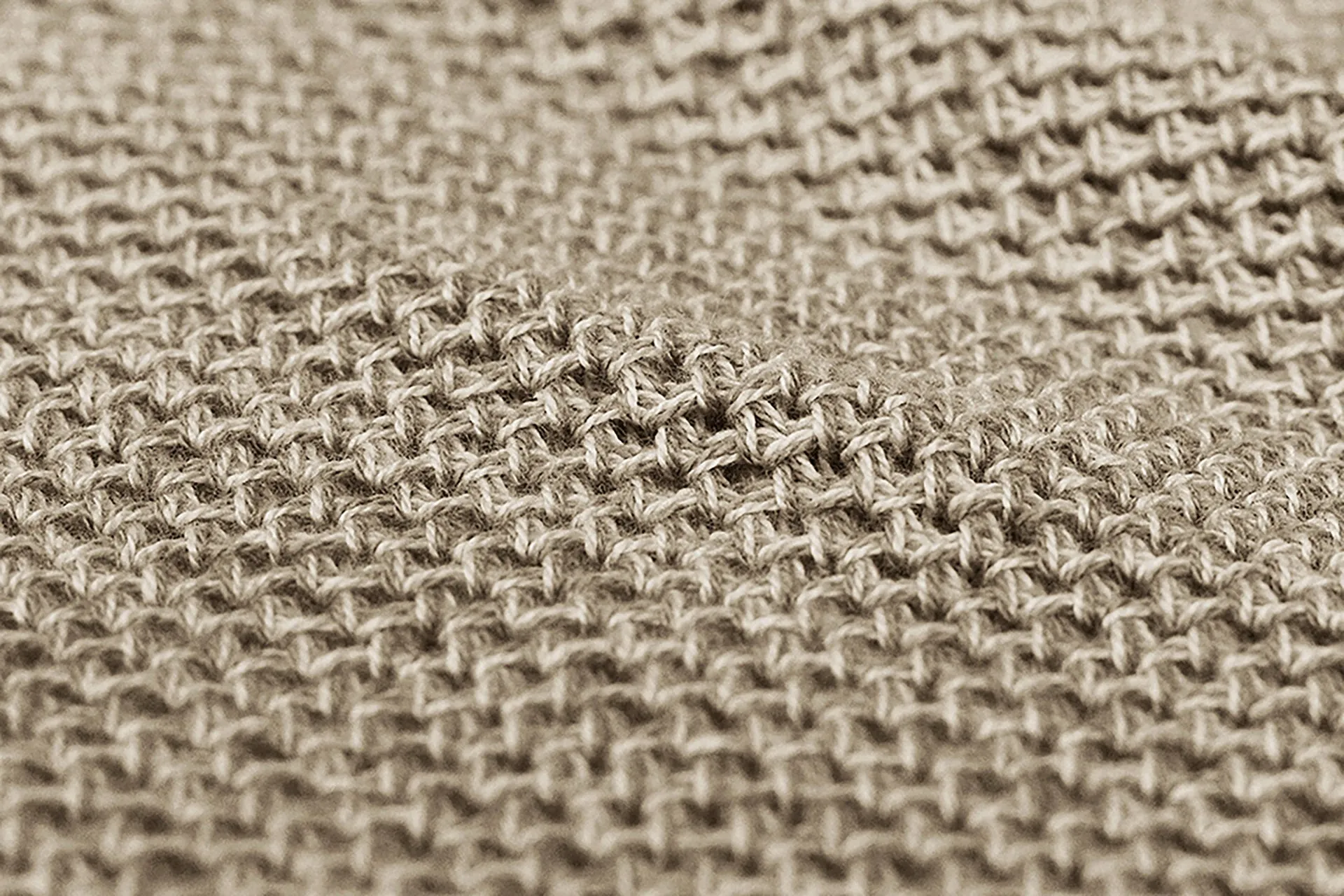 Cotton Polo Shirt