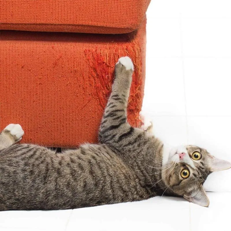 Couch Saver Film