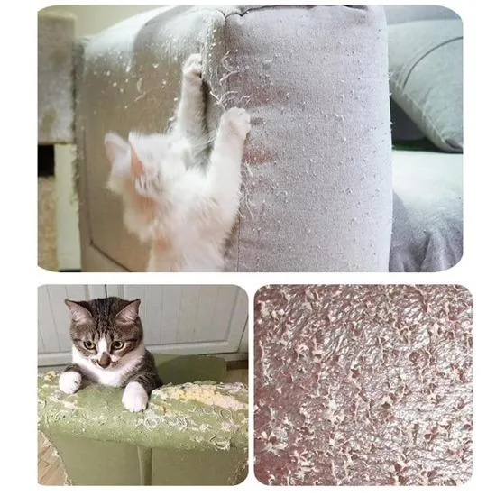 Couch Saver Film