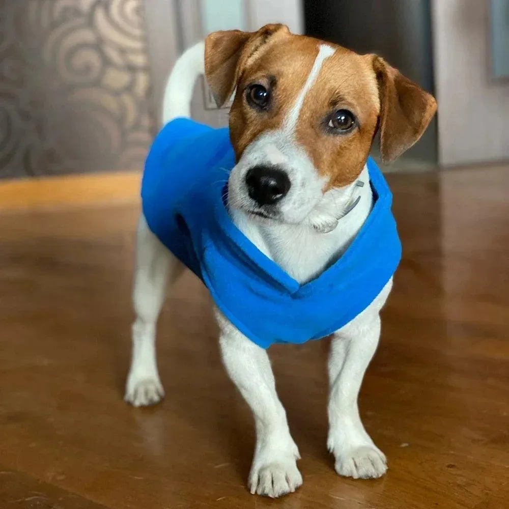 Cozy Fleece Pet Vest: Stylish Outerwear for Small Pets