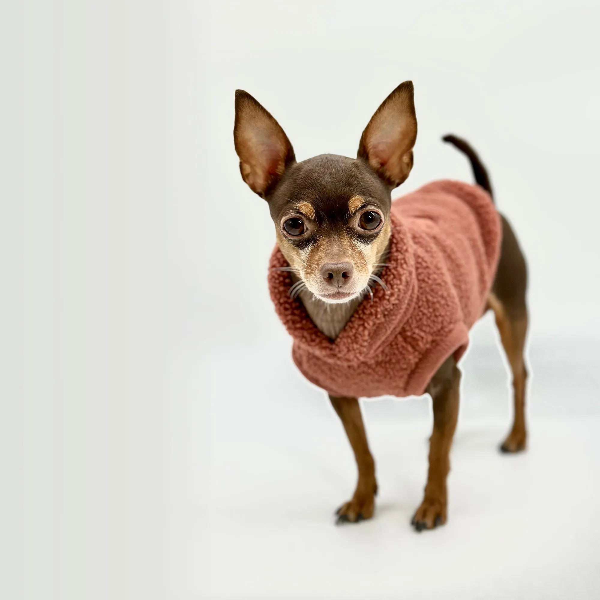 Cozy Sherpa Fleece Pullover - Rose