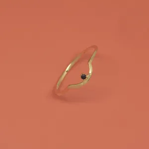 Curved Black Ring