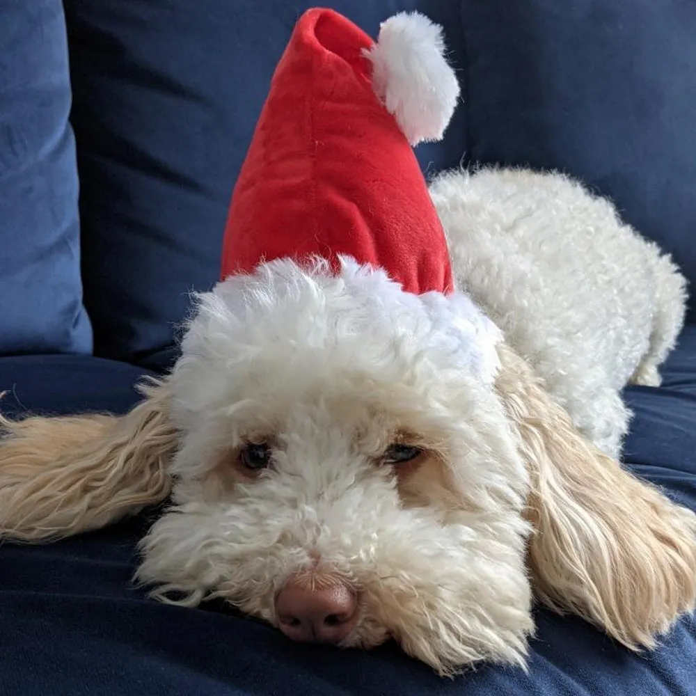Deluxe Santa Hat