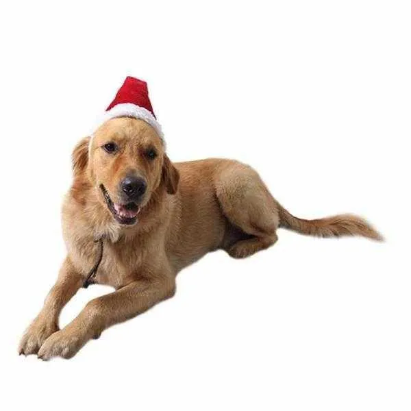 Deluxe Santa Hat