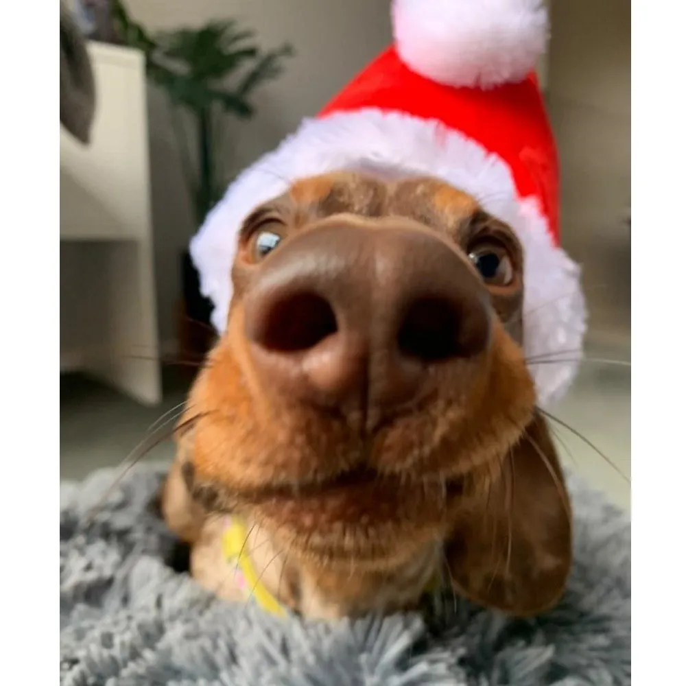 Deluxe Santa Hat