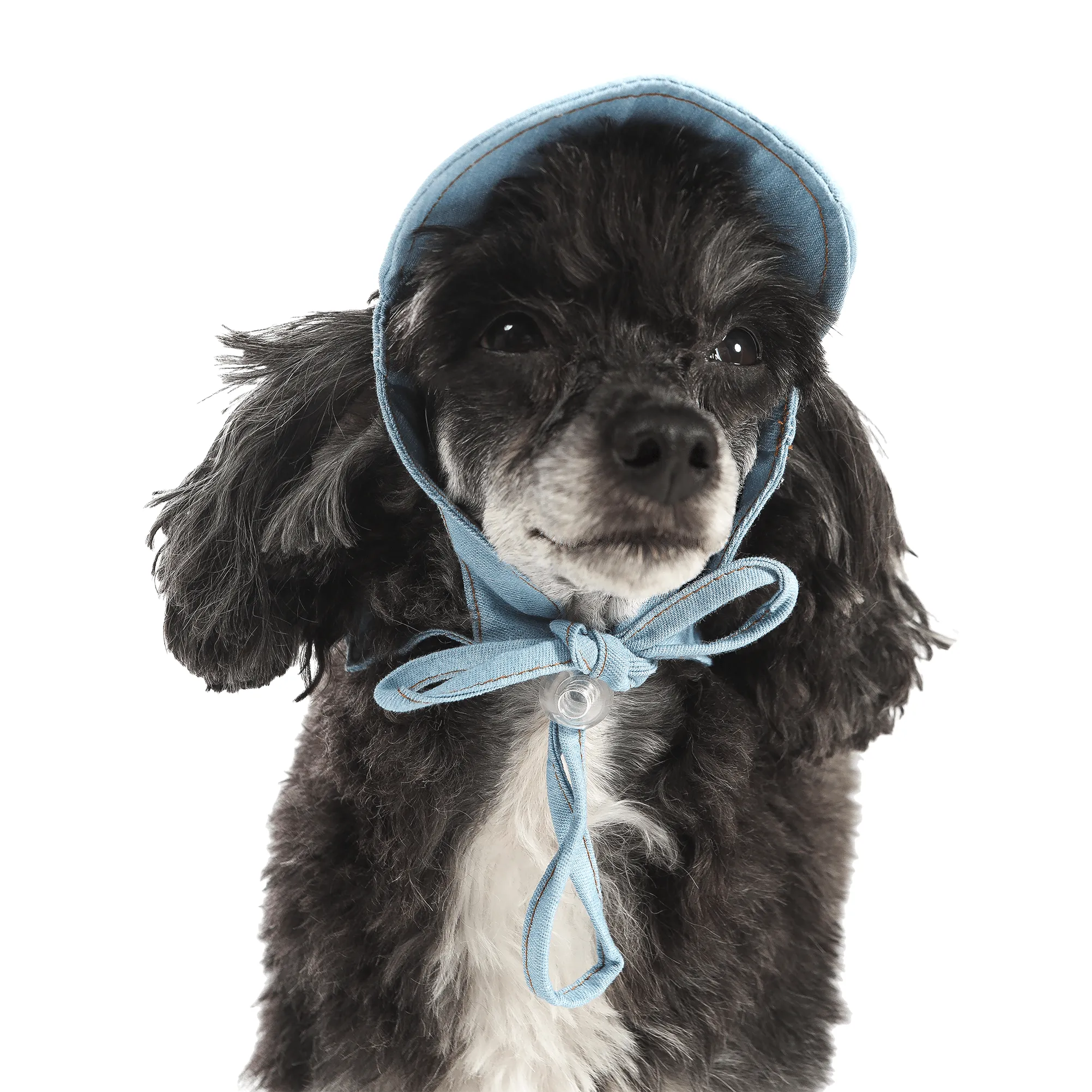 Denim Dog Hat | Cap