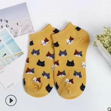 Discover Our Cat Socks