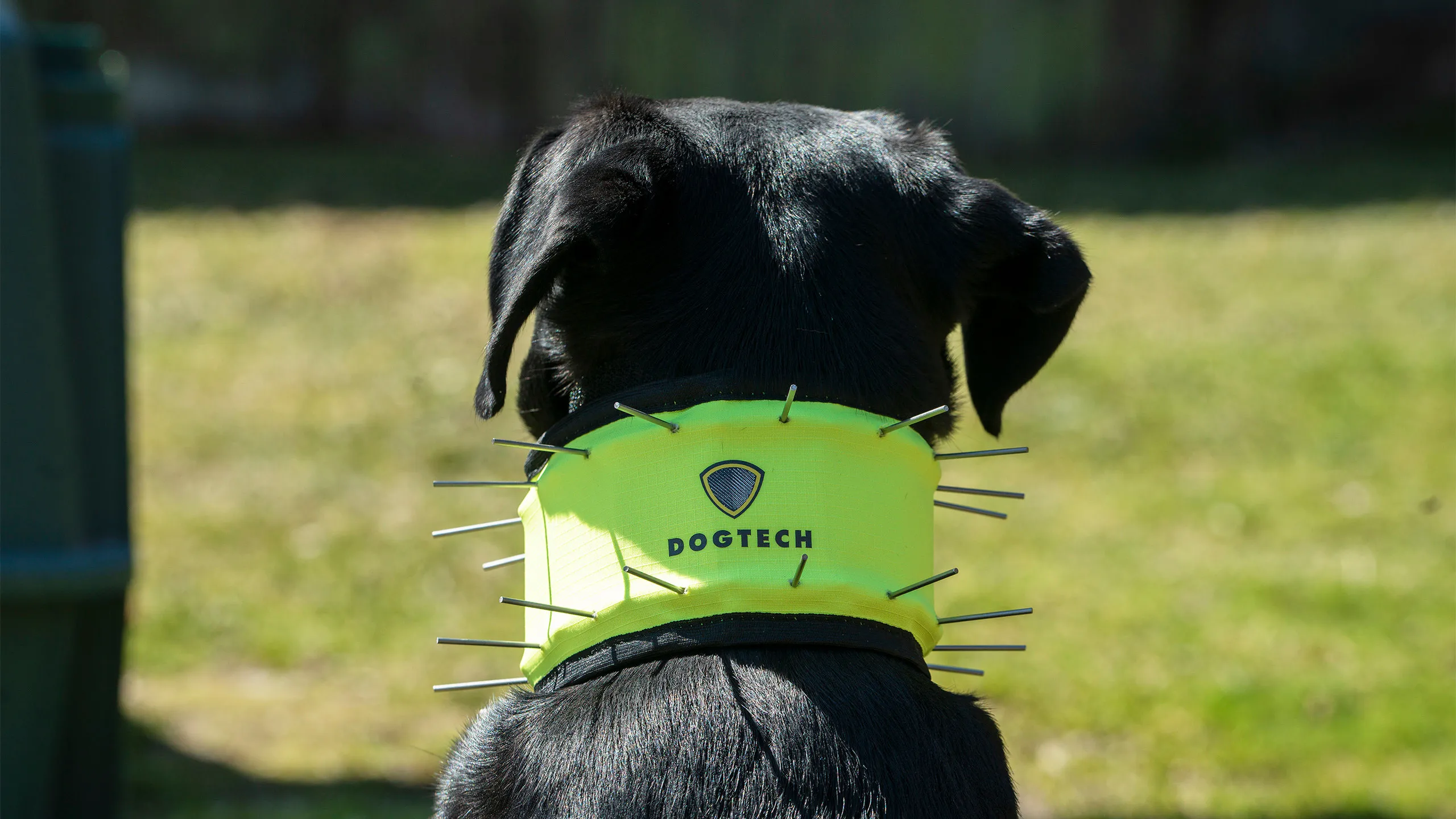 Dogtech Neck 2022 Hivis Yellow | Buy Dogtech Neck 2022 Hivis Yellow here | Outnorth