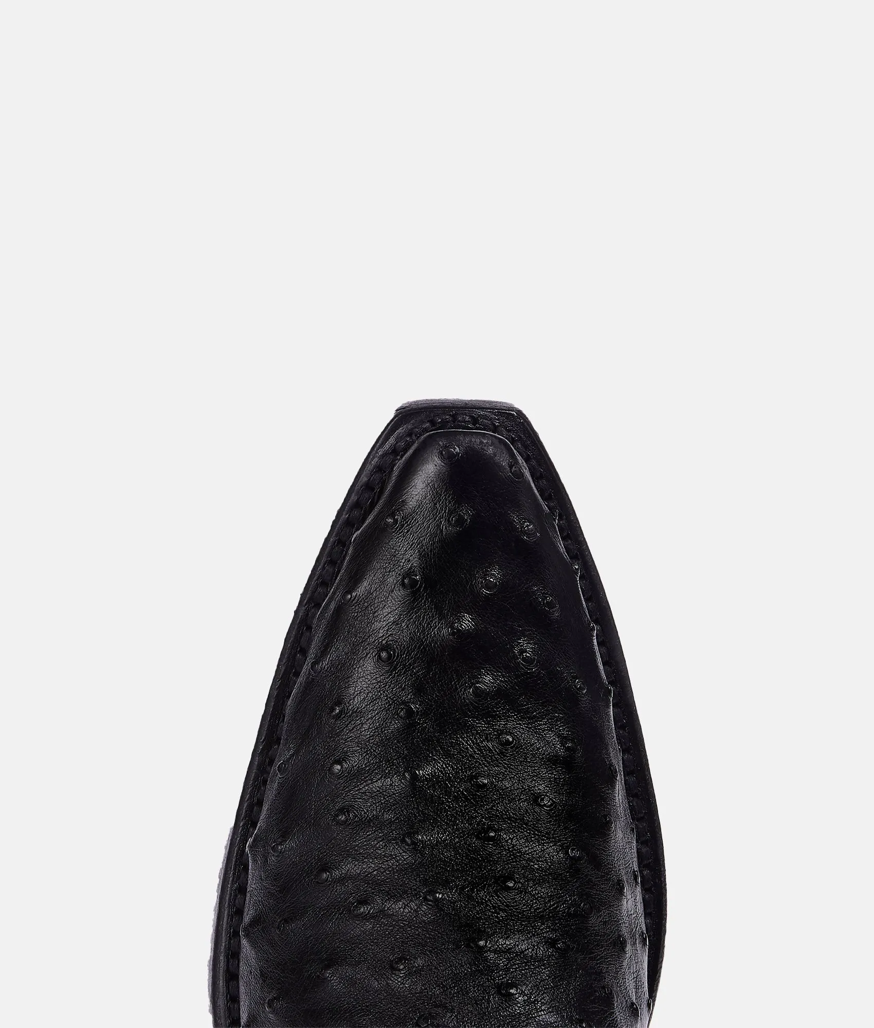 Dolly :: Black