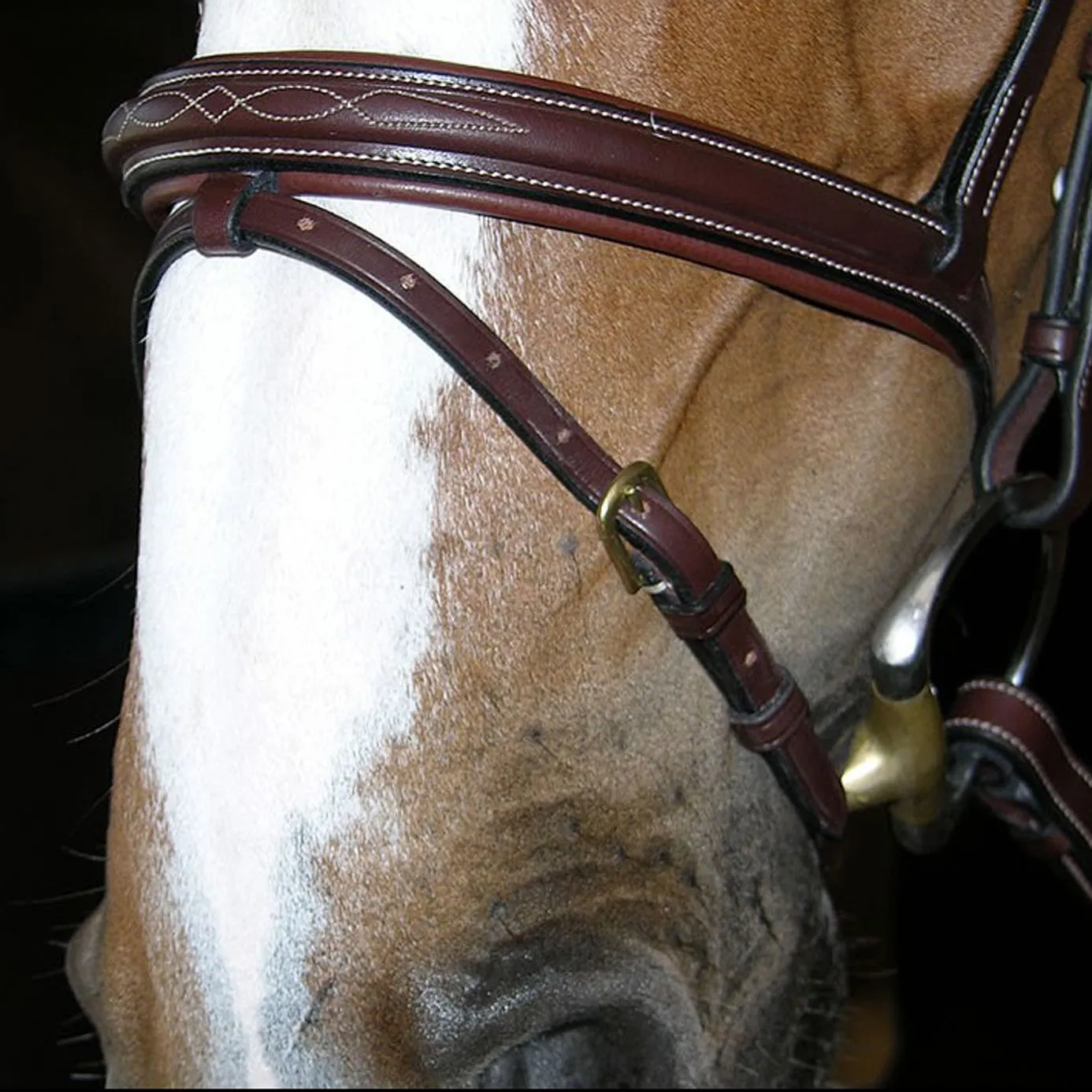 Dy'on Collection Flash Noseband Bridle B131