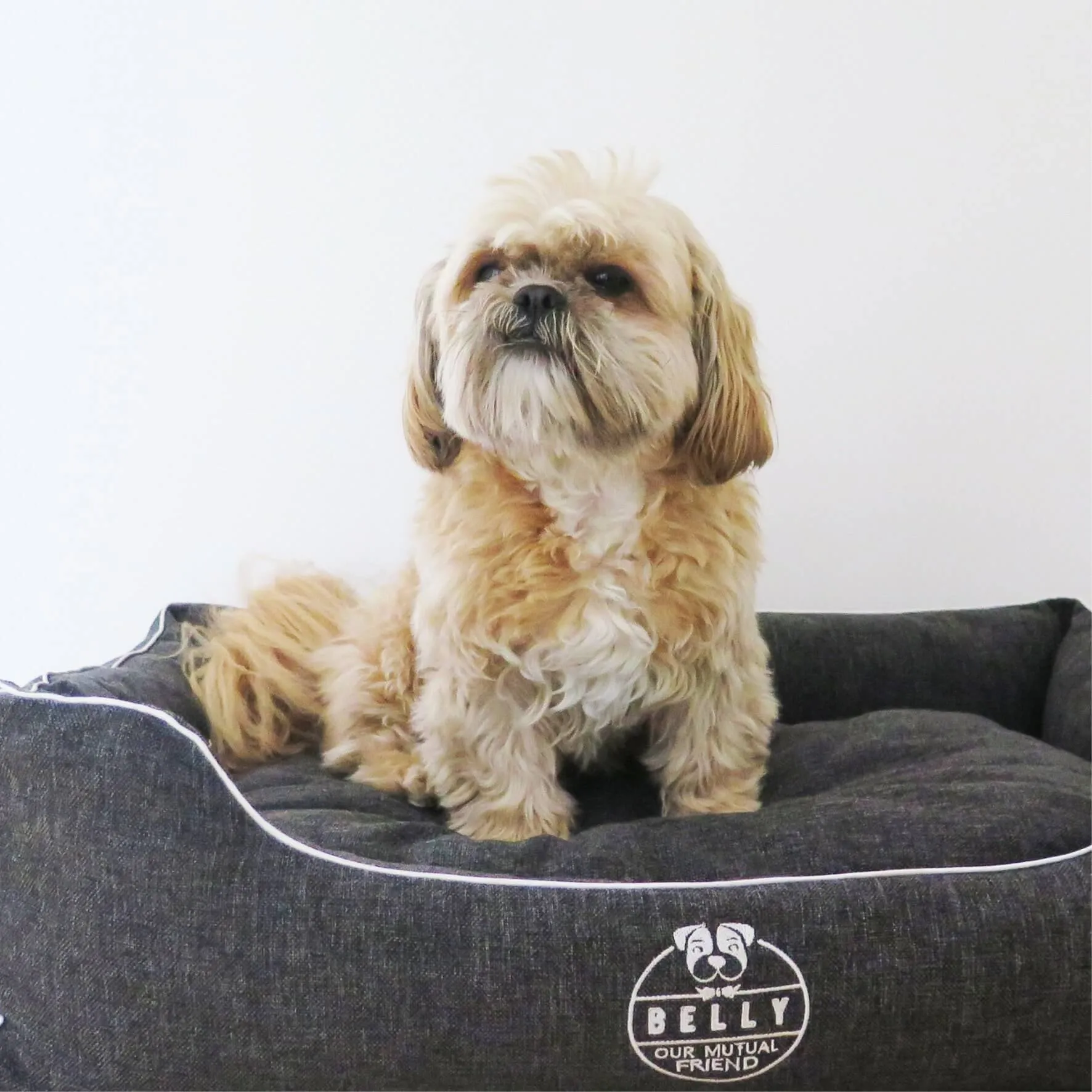 Elegant Dog bed
