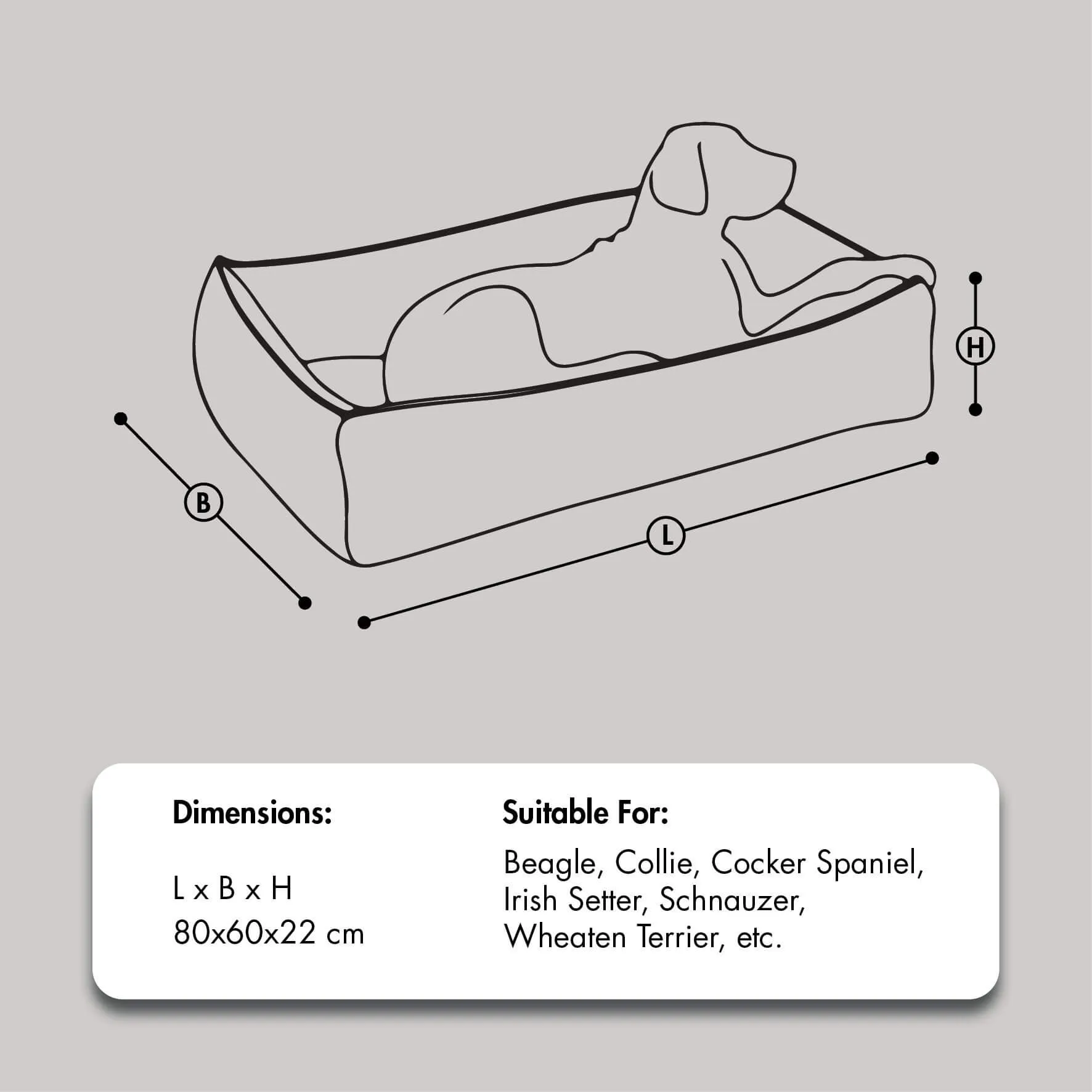 Elegant Dog bed