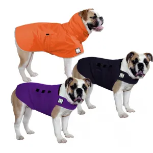 English Bulldog Fall Essentials Bundle