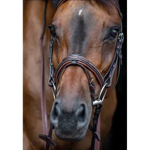 Equiline Fancy Stitched Noseband