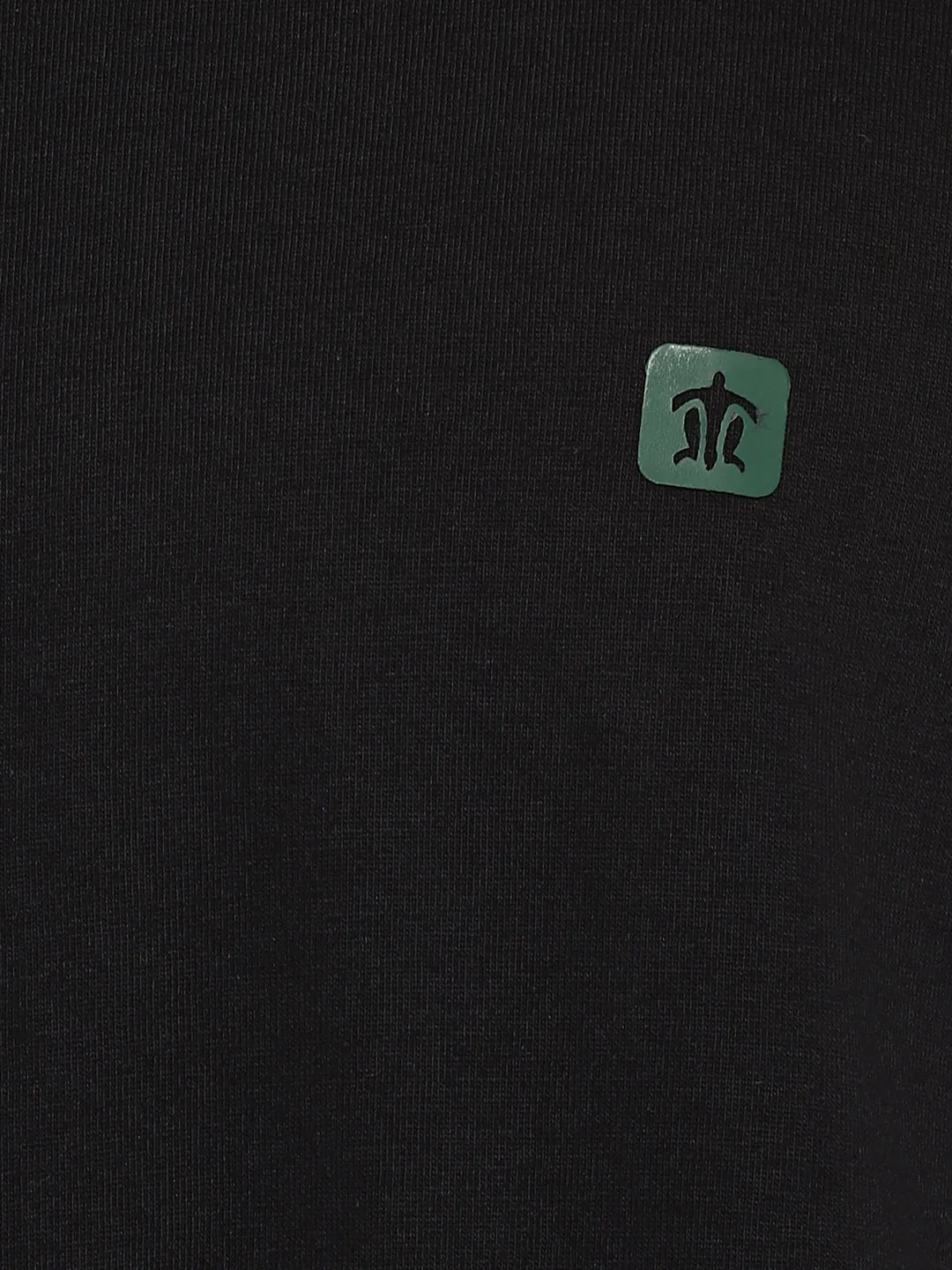 Essentials Black Solid V Neck T-Shirt