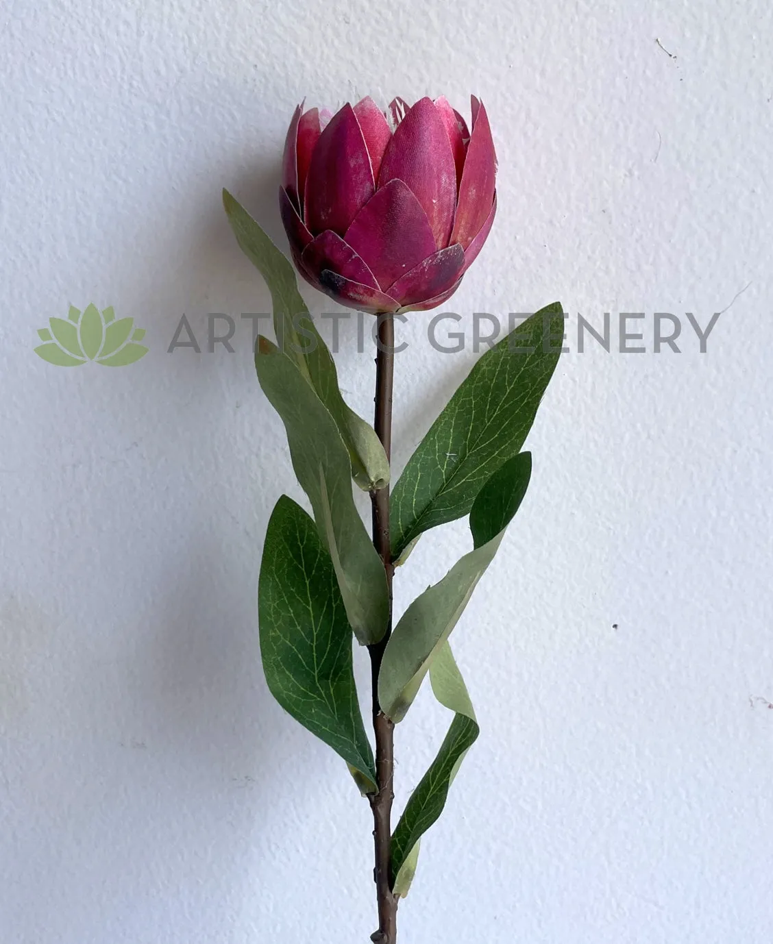 F0413 Small King Protea Stem 54cm Pink