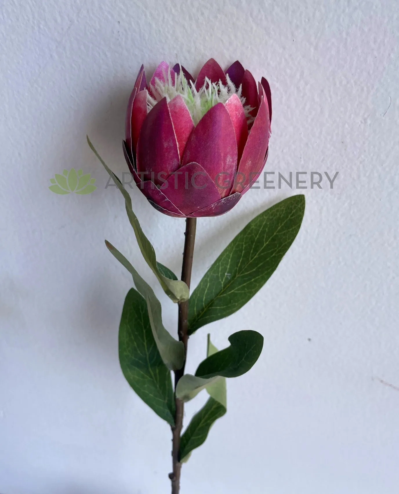 F0413 Small King Protea Stem 54cm Pink