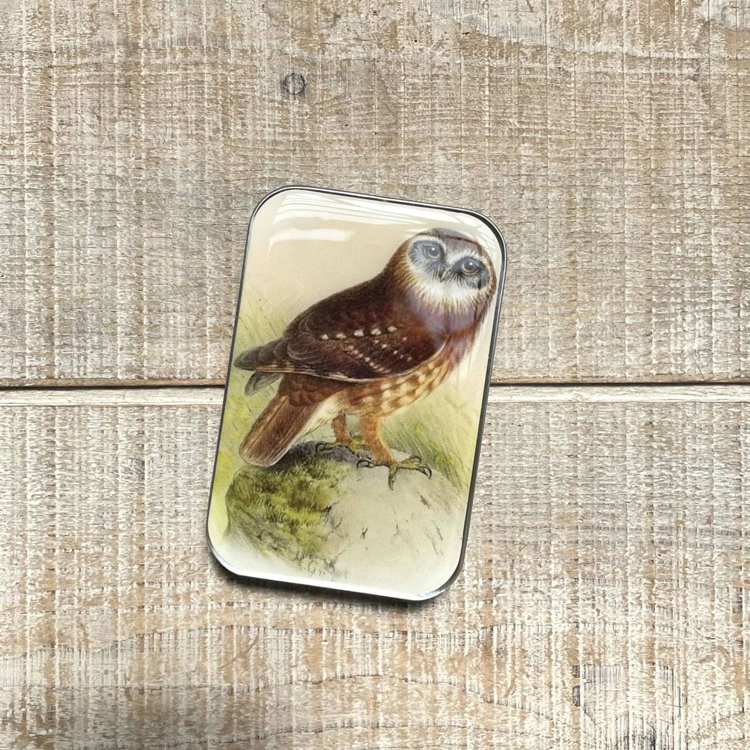 Firefly Notes-Tawny Owl  Notions Tin with Scissors