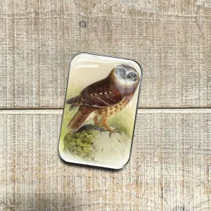 Firefly Notes-Tawny Owl  Notions Tin with Scissors