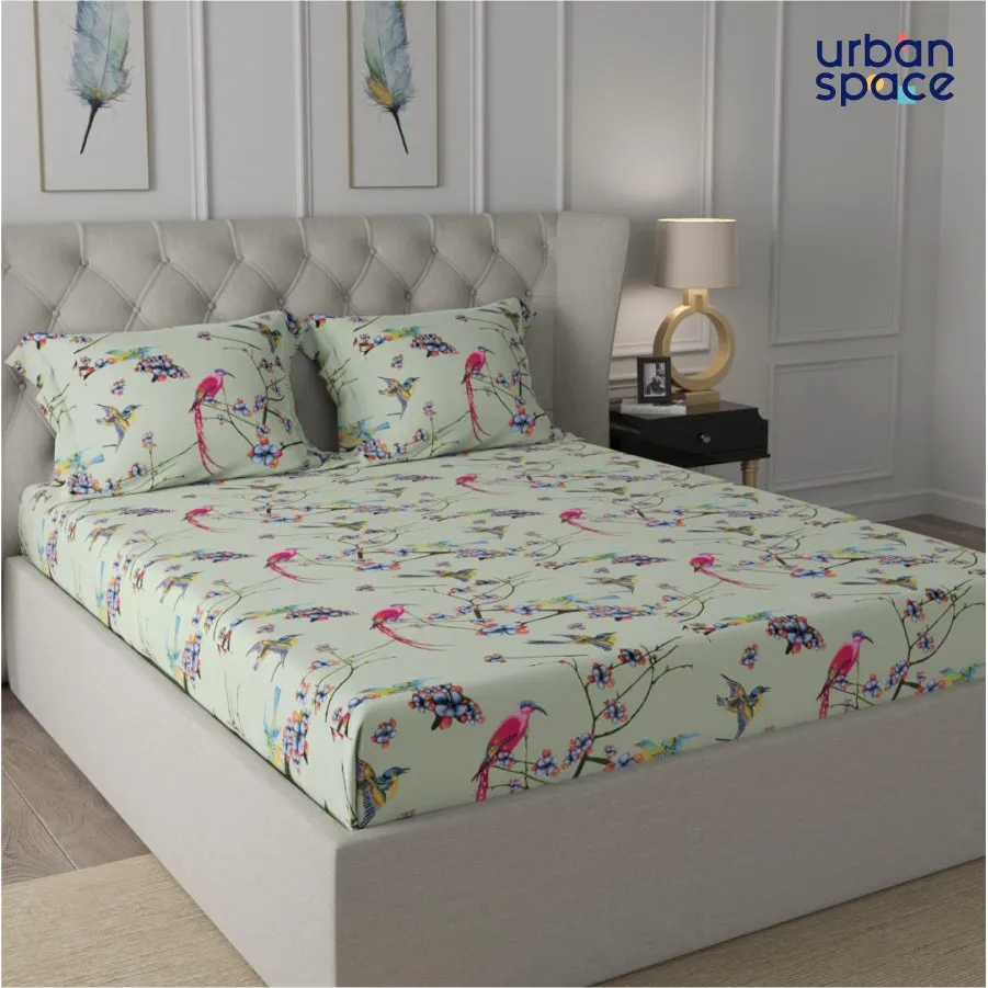 Fitted King Size Cotton Bedsheet - Sparrow Mint Green