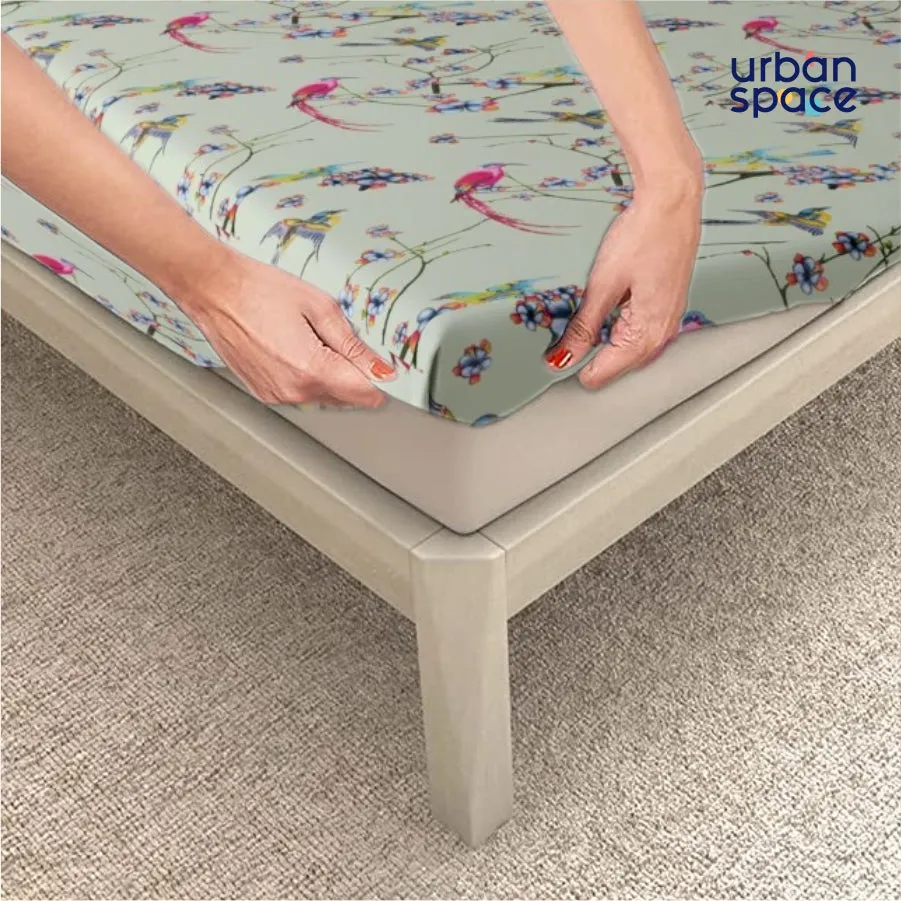 Fitted King Size Cotton Bedsheet - Sparrow Mint Green