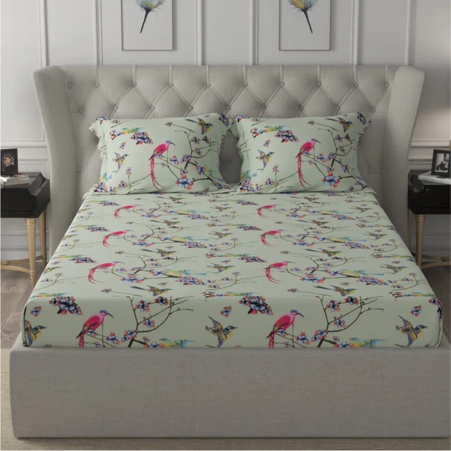 Fitted King Size Cotton Bedsheet - Sparrow Mint Green