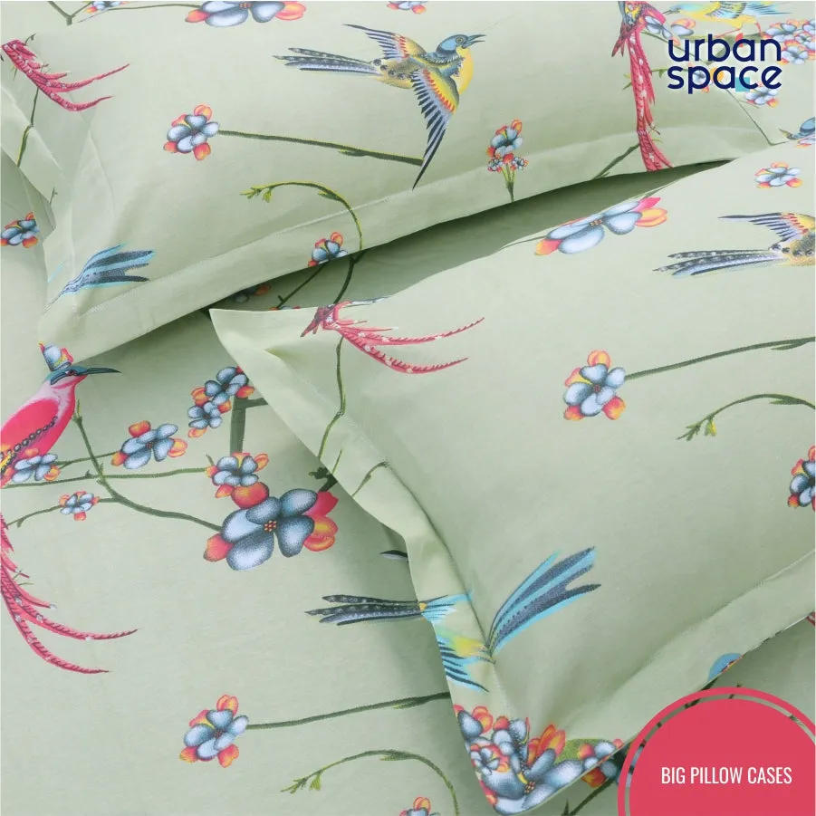 Fitted King Size Cotton Bedsheet - Sparrow Mint Green