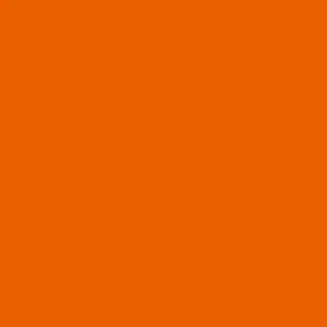 Fleece And Fur Plain Fleece Orange